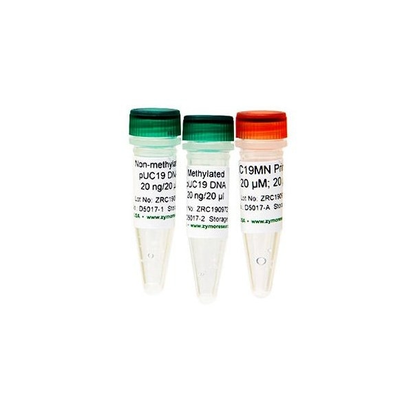 Methylated & Non-Methylated pUC19 DNA Set, 5 ug
